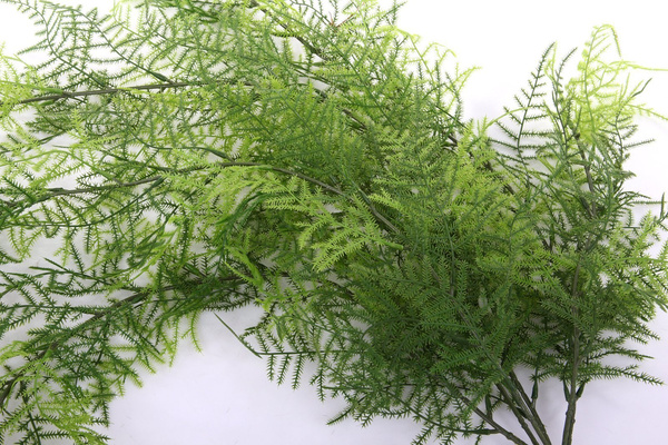 Sztuczny Asparagus pierzasty pnącze 80 cm