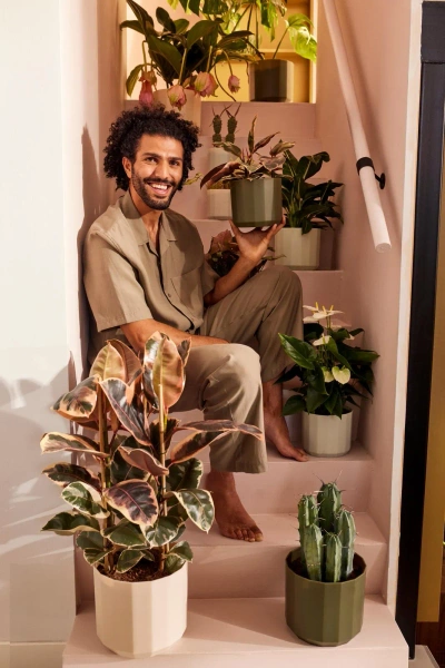 Facet 19 zielona osłonka Elho