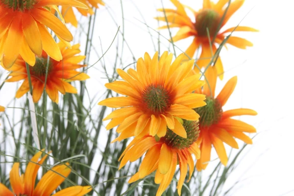 Sztuczna rudbekia 90 cm pomarańczowe kwiaty