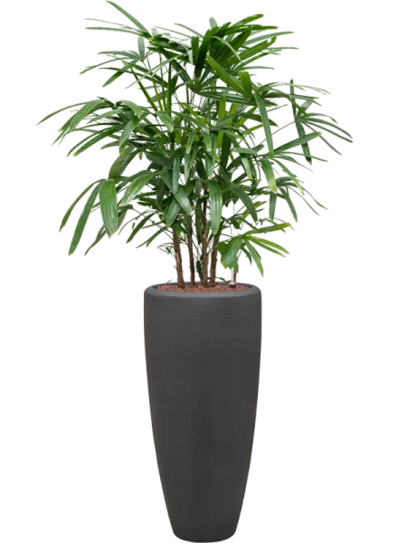 POLYSTONE PARTNER 37/90 wysoka donica naturalna czarna