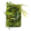 Sztuczna Zielona ściana Living Wall 40x60 cm