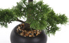 Sztuczne drzewko Bonsai Cedr 48 cm w czarnej doniczce