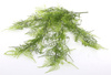 Sztuczny Asparagus pierzasty pnącze 80 cm