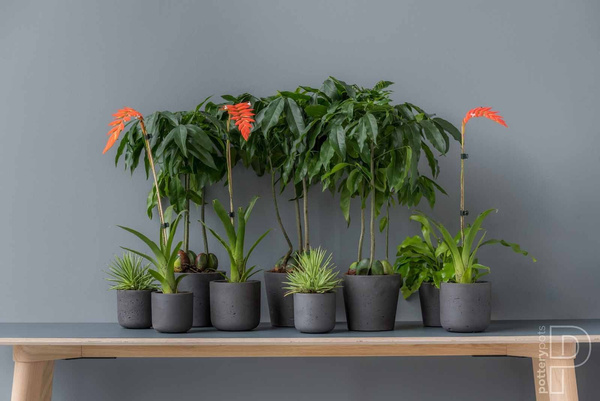 Mini Bucket S 14/12 kamienna doniczka złota metalik