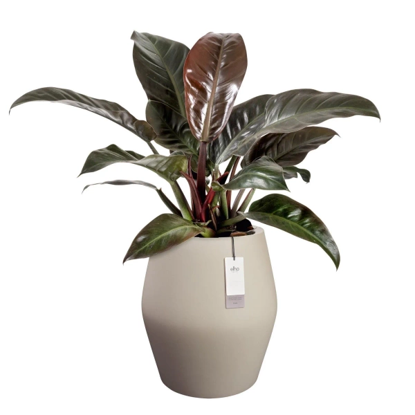 June Split High 46/53 wysoka osłonka beżowa balanced beige