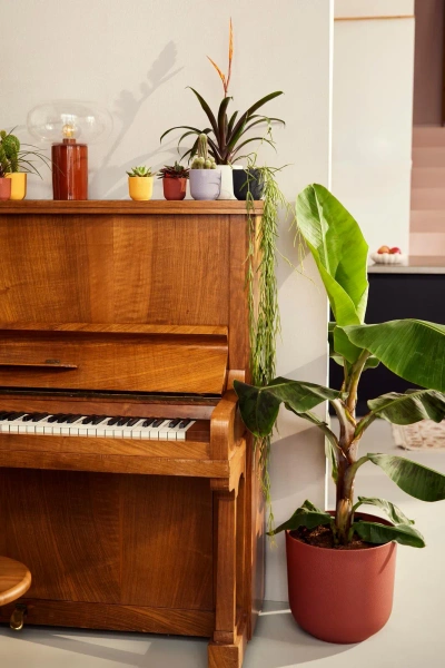 Jazz Elho 9 czarna mini osłonka