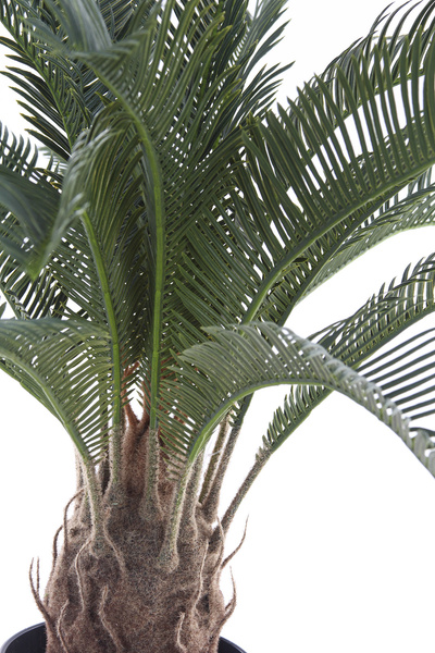 Sztuczny cykas 60 cm 18 liści