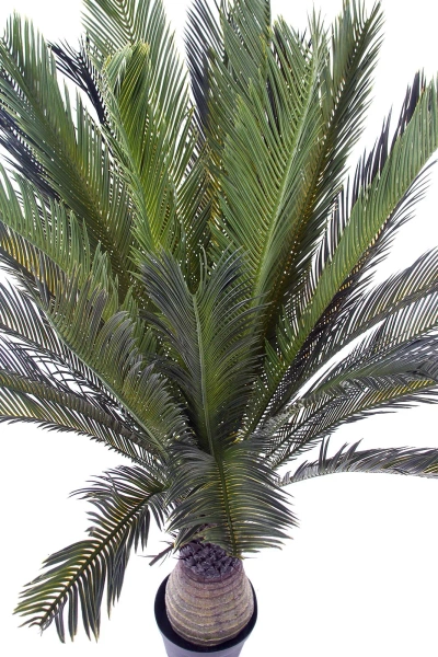 Sztuczny Cycas 150 cm