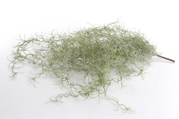 Sztuczna Gęsta Oplątwa Tillandsia pnącze 95 cm szara