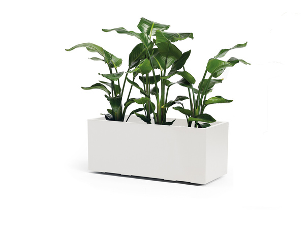 Kebe Casetta 100x40/40 donica na kółkach prostokątna biała