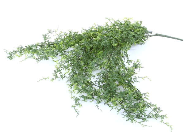 Sztuczna Paprotka pnącze 80 cm UV