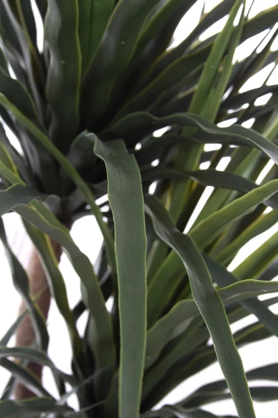 Sztuczna Dracena 160-170 cm