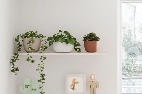 Urania Bowl 30/15 oliwkowa misa ceramiczna na bonsai