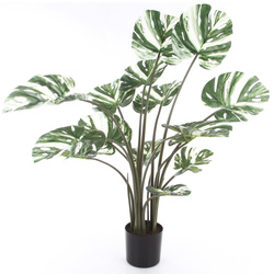 Sztuczna Monstera Variegata dziurawa zielono-biała 120 cm
