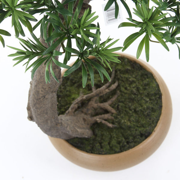 Sztuczny Bonsai Podocarpus Shankan 60/50 cm