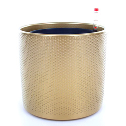 Zestaw do hydroponiki 18/19 Era 23 złota w kropki