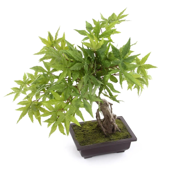 Sztuczny Bonsai Klon 50 cm zielony w doniczce