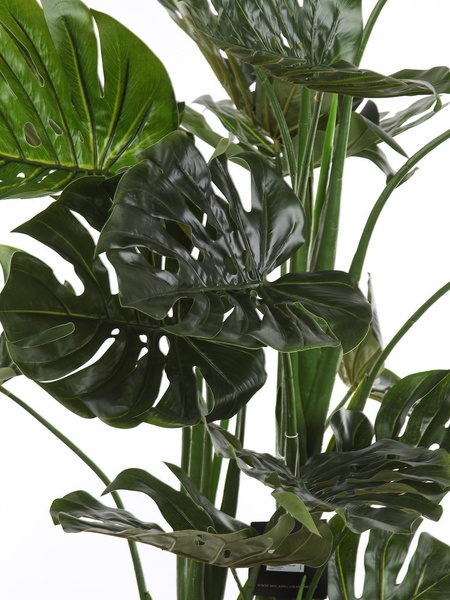 Sztuczna Monstera dziurawa deliciosa wysoka 195 cm d80 cm duże liście