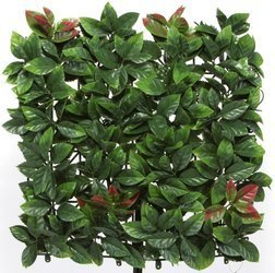 Sztuczna zielona ściana mata Głownik Photinia 50x50 UV wodoodporna