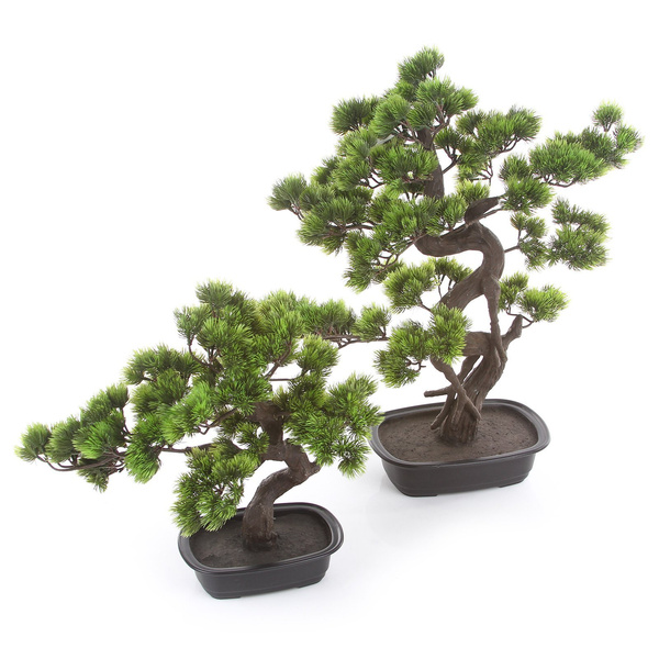 Sztuczne drzewko Bonsai Sosna Pinia 65 cm