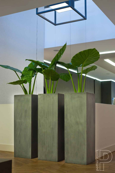 Bouvy L 40x40/80 wysoka donica kolumnowa szara