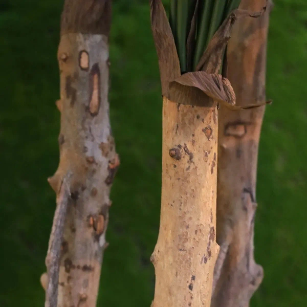 Sztuczna Monstera 120 cm na drewnianych pniach deluxe