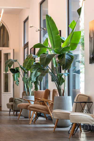 Patt High S 29/43 wysoka kamienna doniczka jasnoszara w prażki