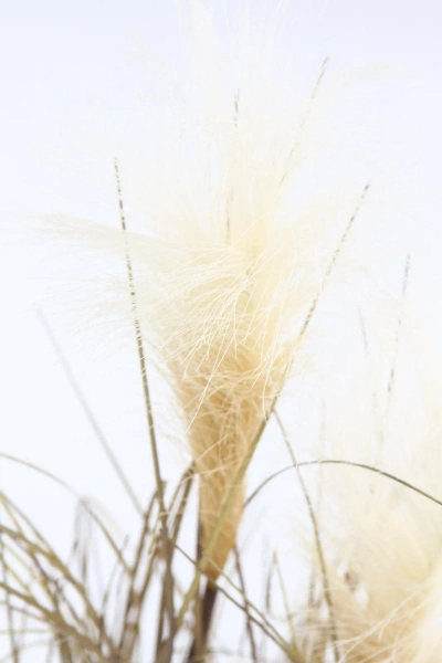 Sztuczna trawa pampasowa 76 cm w doniczce