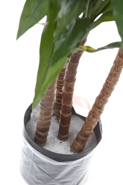 Sztuczna dracena fragrans 150 cm 81 liści drewniany pień