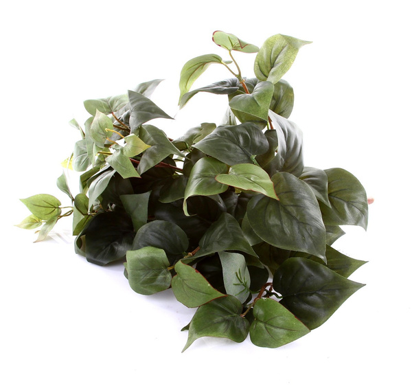 Sztuczny Filodendron Philodendron 40 cm zielony Bush 9 łodyg