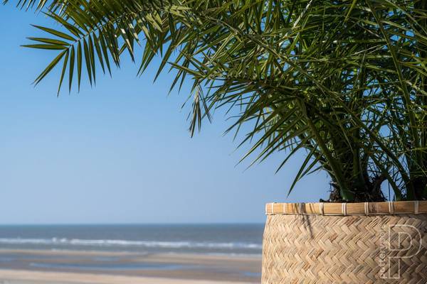 Kobe L 50x50/51 naturalna donica bambusowa