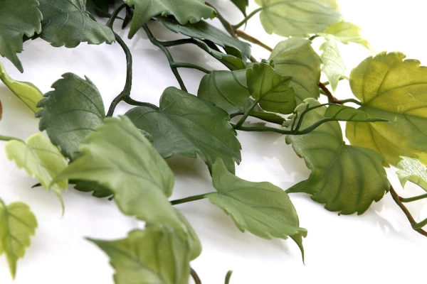 Sztuczna Topola pnącze 78 cm