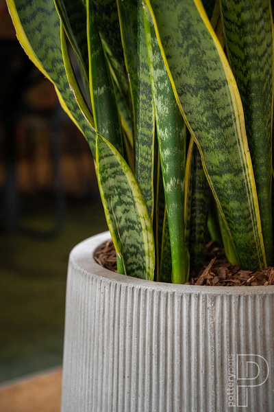 Pax L 55/48,5 jasnoszara duża donica prążkowana kamienna