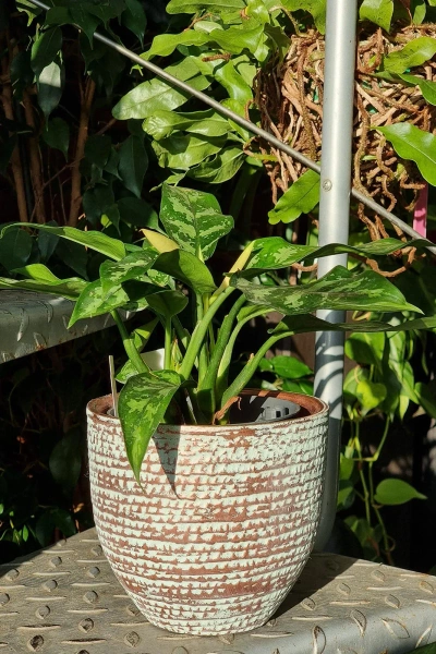 Carrie 35/32 duża ceramiczna osłonka miedziana