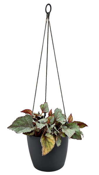 Brussels 18 doniczka wisząca antracytowa