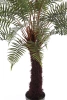 Sztuczna paproć Dicksonia 125 cm