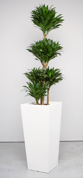 KIAM GLOSS 30x30/67 donica kwadratowa wysoka biała półpołysk