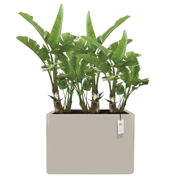 June Brick Divider 80 donica prostokątna wysoka beżowa balanced beige