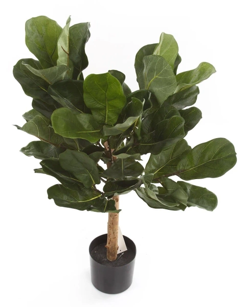 Sztuczny Fikus Dębolistny Lyrata 75 cm deluxe
