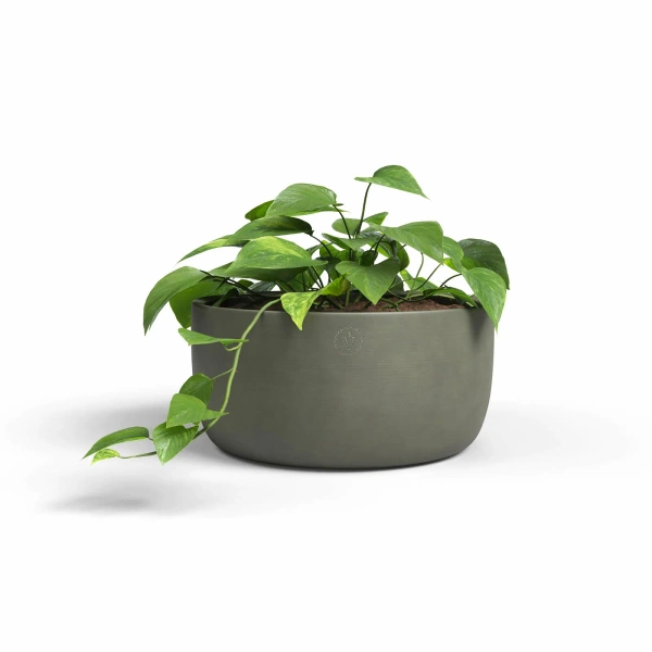 Urania Bowl 30/15 oliwkowa misa ceramiczna na bonsai