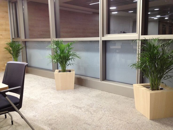 NATURA 45x45/40 donica z drewna dębowego jasna