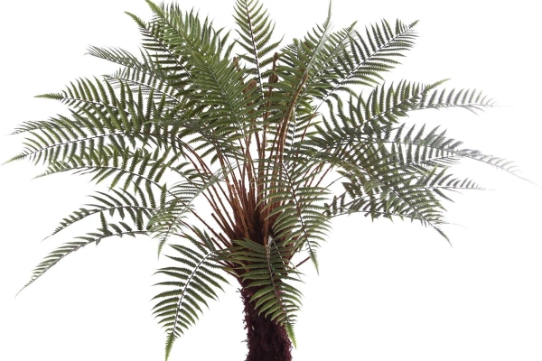 Sztuczna paproć Dicksonia 125 cm