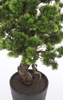 Sztuczne drzewko Bonsai Sosna Pinia 110 cm