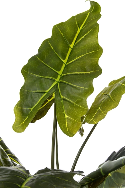 Sztuczna Alokazja drzewko 180 cm 22 liście gruby pień