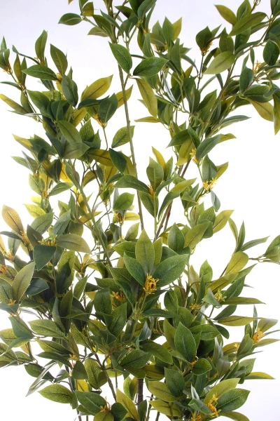 Sztuczne drzewko laurowe Laurus Nobilis 195 cm