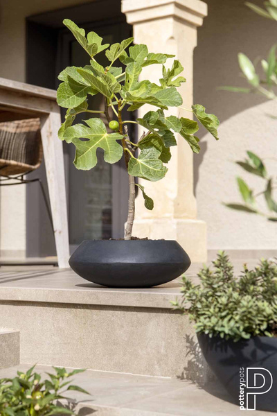 Tara L 80/30 duża płaska kamienna donica czarna