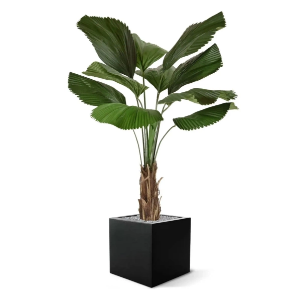 Sztuczna Palma Licuala 140 cm