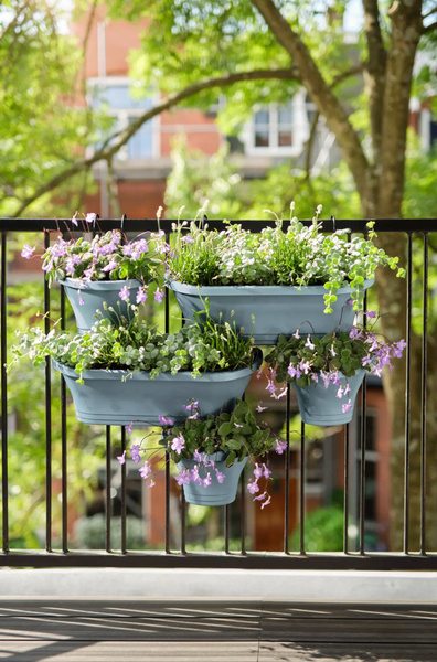 Corsica Vertical Forest doniczki wertykalne niebieskie 3 sztuki