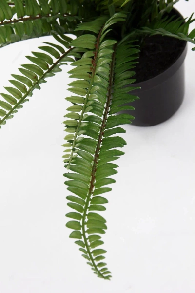 Sztuczna Paproć Boston 65 cm w doniczce