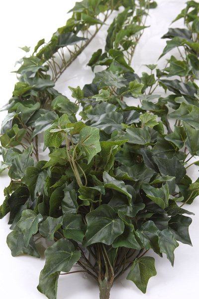 Sztuczny Bluszcz English Hedera wiszący pnącze 170 cm zielony
